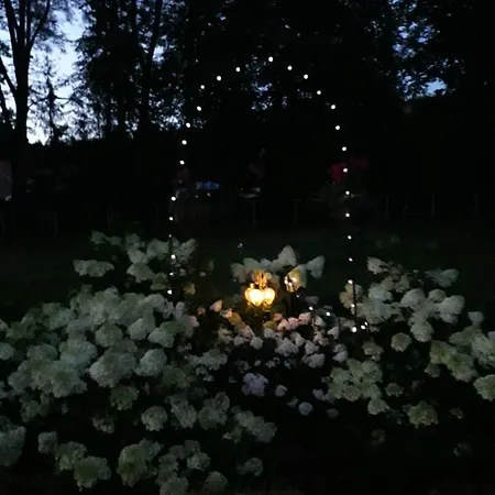 Krolowa Luiza I Wiking Διαμέρισμα Stare Jabłonki