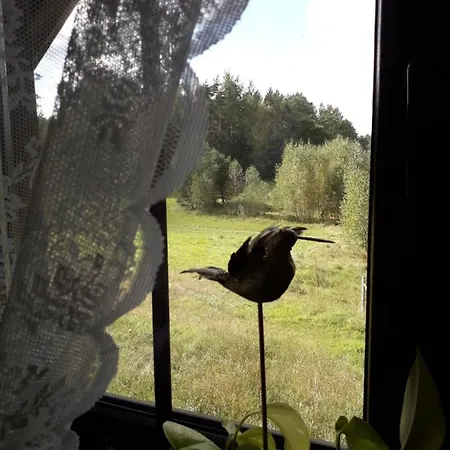 Krolowa Luiza I Wiking *