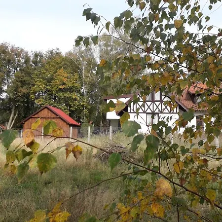 Krolowa Luiza I Wiking Stare Jabłonki
