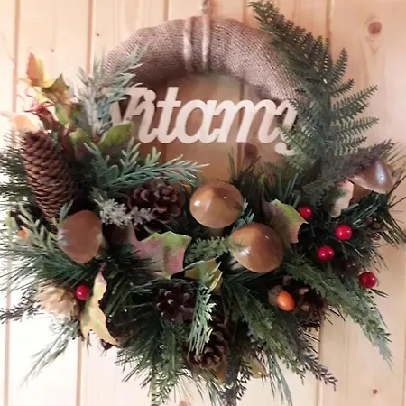 Krolowa Luiza I Wiking *