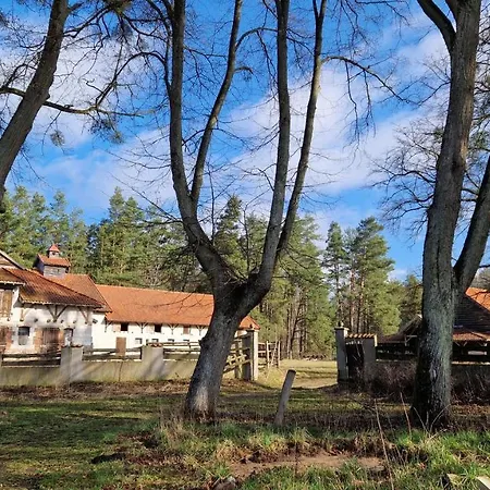 Krolowa Luiza I Wiking *