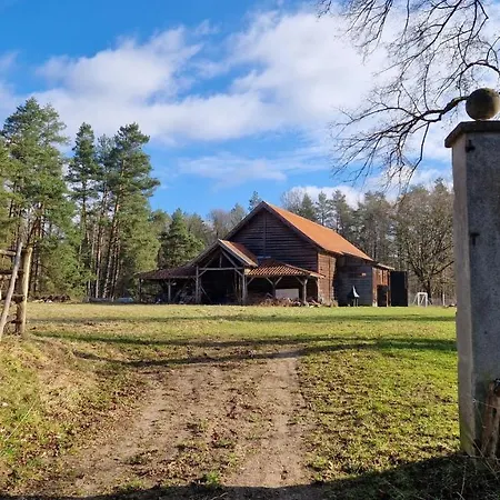 Krolowa Luiza I Wiking Daire Stare Jabłonki