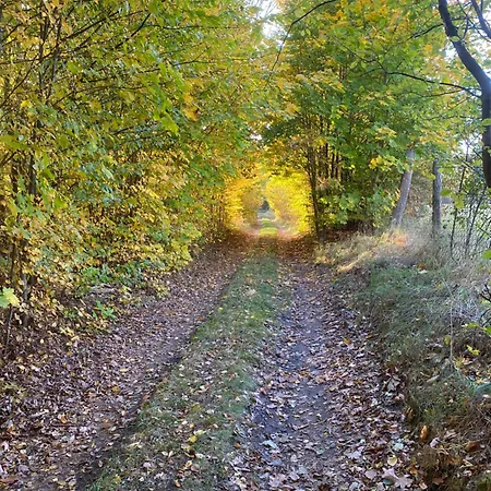 Krolowa Luiza I Wiking